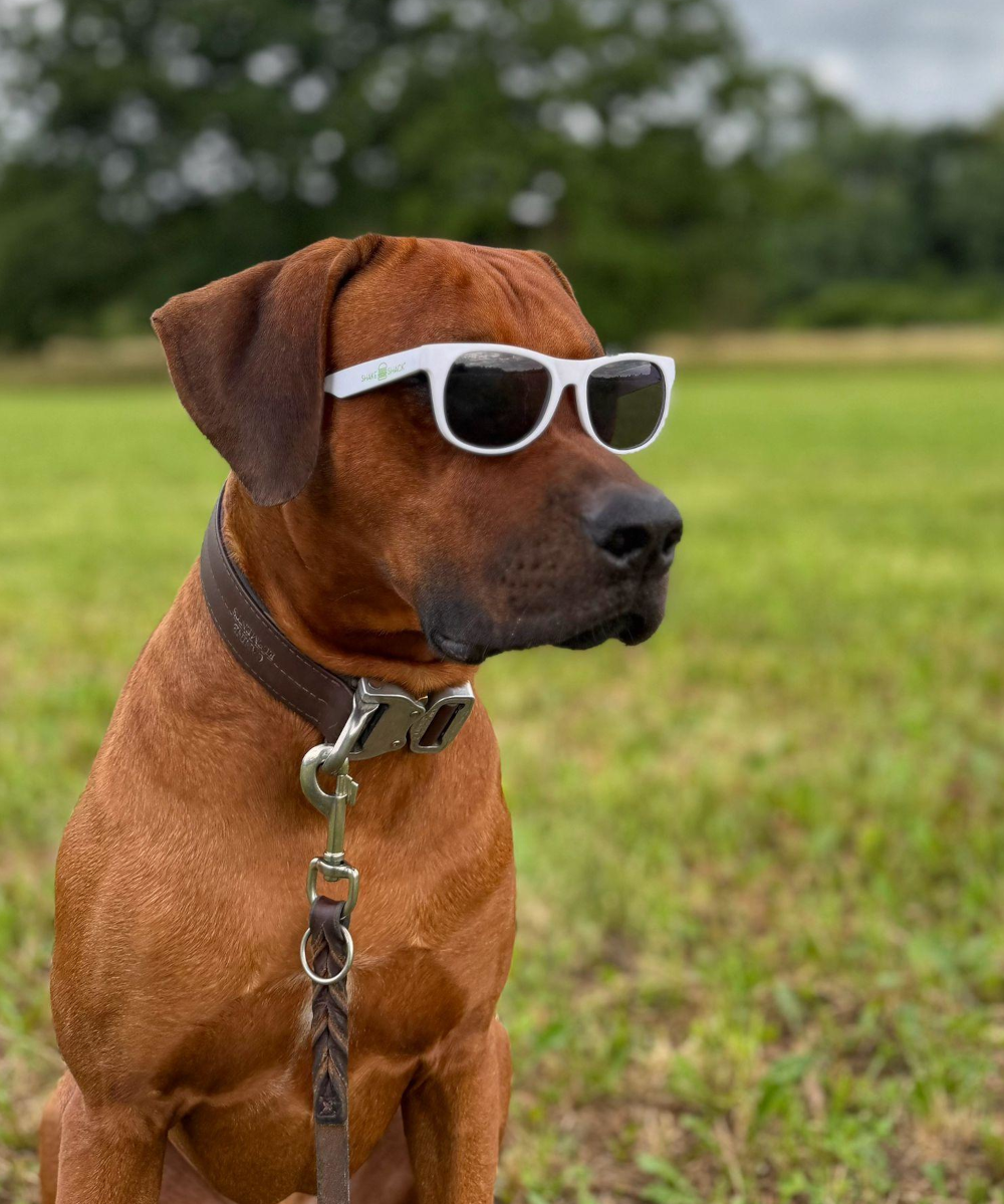 Cool bleiben im Begegnungstraining
