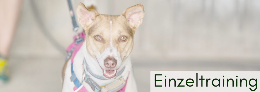 Einzeltraining