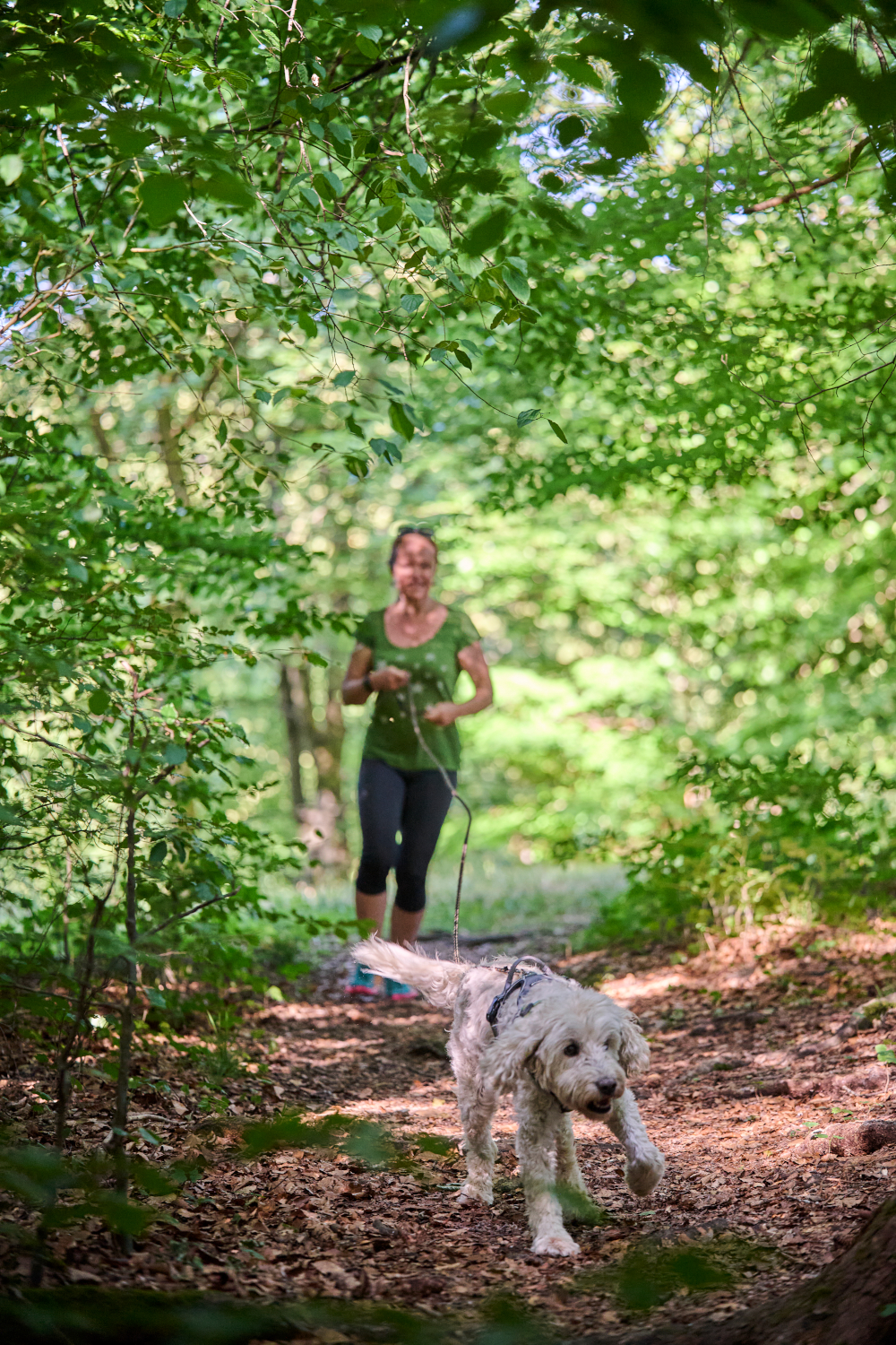Volle Action beim Mantrailing